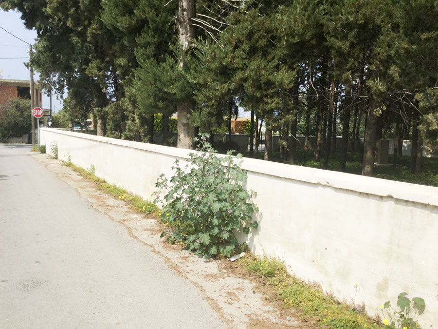 Kos New Jewish Cemetery