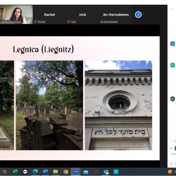 Webinar screenshot
