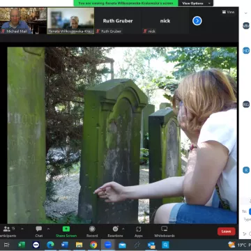 Webinar screenshot